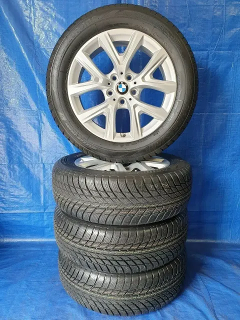 Article BYD6